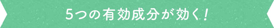5つの有効成分が効く!
