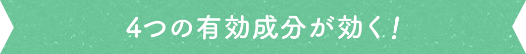 4つの有効成分が効く!