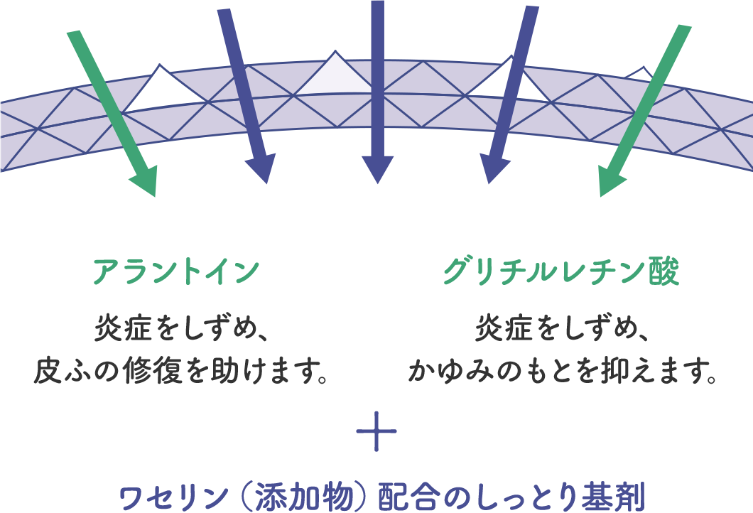 アラントイン&hellip;炎症をしずめ、皮ふの修復を助けます。 グリチルレチン酸&hellip;炎症をしずめ、かゆみのもとを抑えます。 + ワセリン（添加物）配合のしっとり基剤