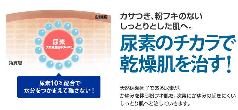 尿素のチカラで乾燥肌を治す！