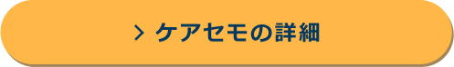 ケアセモの詳細