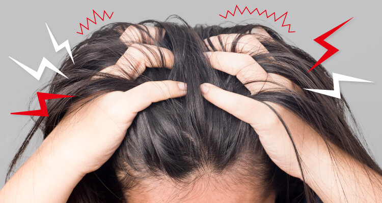 メインイメージ