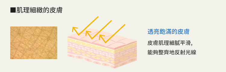 肌理細緻的皮膚