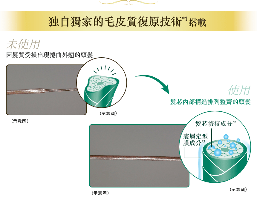 關於樂敦Gyutto質感整形髮膜