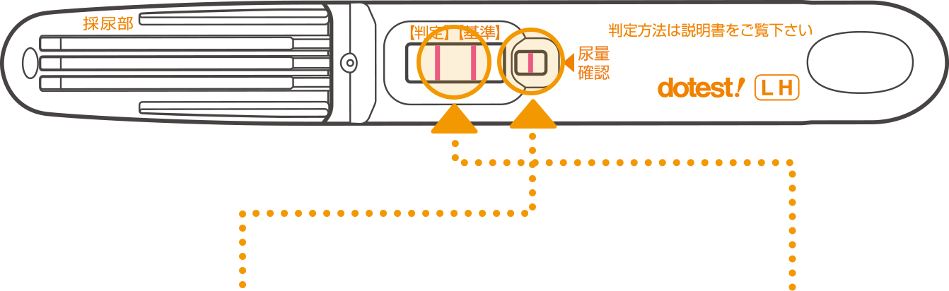 検査スティックの拡大図