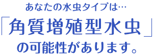 あなたの水虫タイプは…「角質増殖型水虫」の可能性があります。