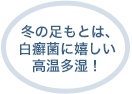 冬の足もとは、白癬菌に嬉しい高温多湿！