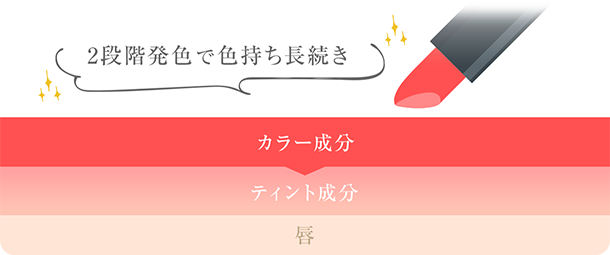 2段階発色で色持ち長続き