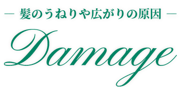― 髪のうねりや広がりの原因 ― Damage