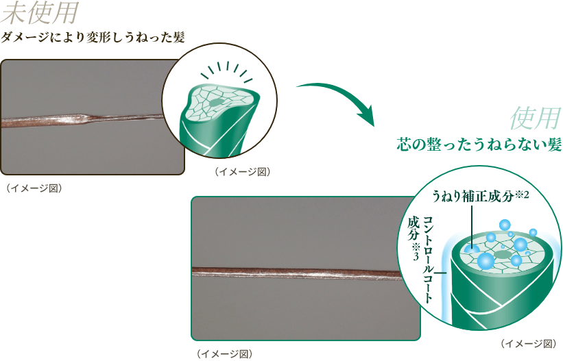 未使用 ダメージにより変形しうねった髪（イメージ図）（イメージ図） 使用 芯の整ったうねらない髪 うねり補正成分※2コントロールコート成分※3（イメージ図）（イメージ図）