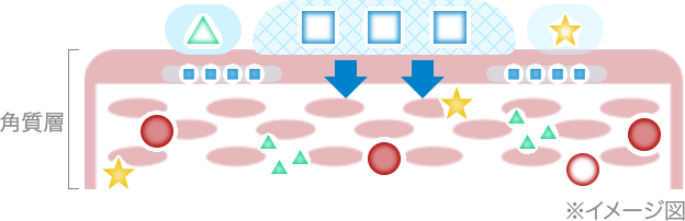 イメージ図：ヒアルロン酸の働き