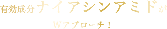 有効成分ナイアシンアミドがWアプローチ！