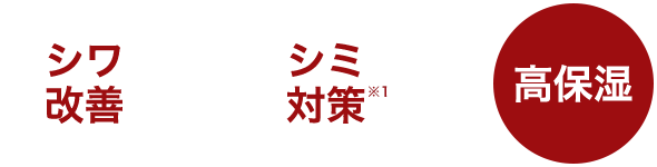 シワ改善 ＋ シミ対策※１ ＋ 高保湿