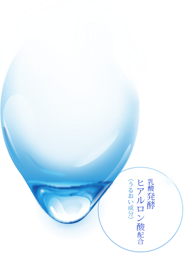 乳酸発酵ヒアルロン酸配合（うるおい成分）