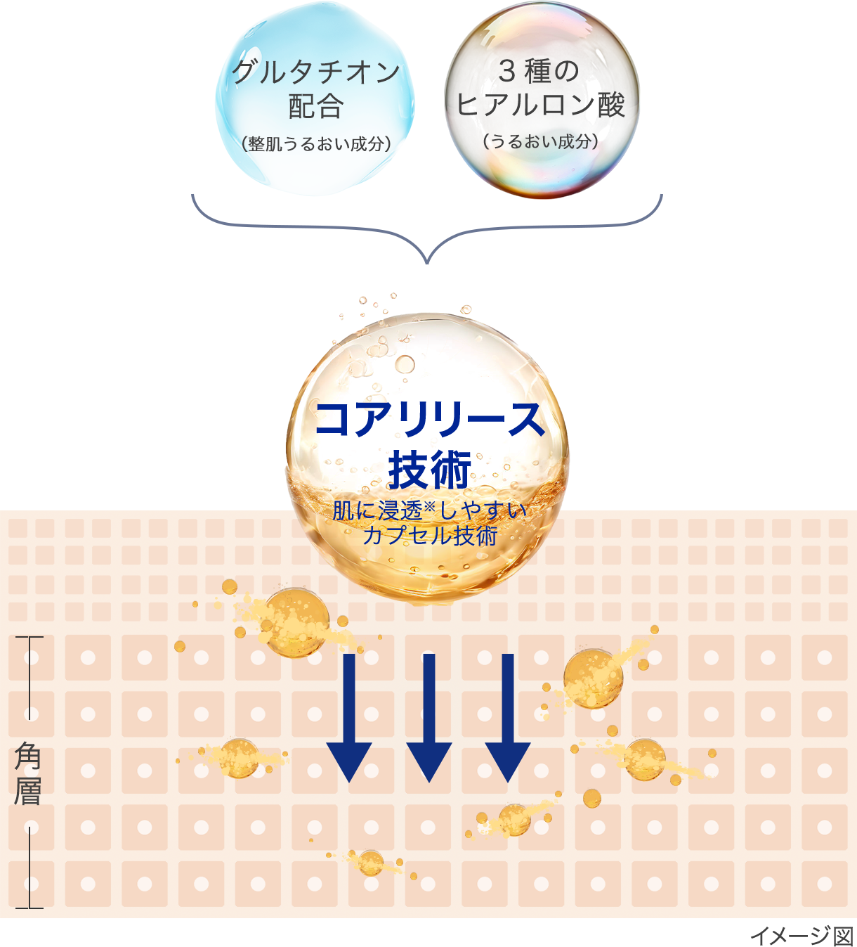 イメージ図 コアリリース技術（肌に浸透※しやすいカプセル技術） グルタチオン配合（整肌うるおい成分） ３種のヒアルロン酸（うるおい成分）※角層まで