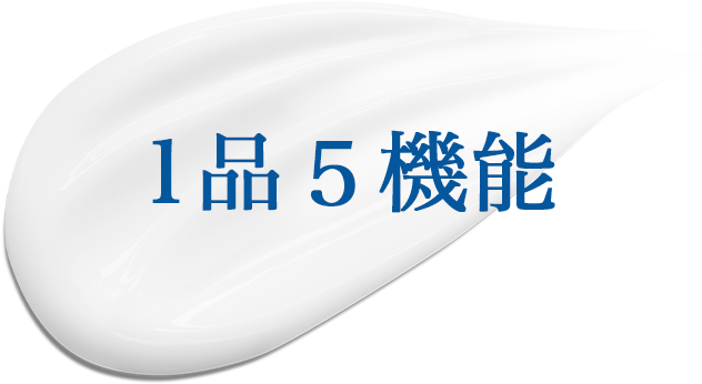 １品５機能