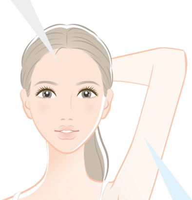 顔の肌と二の腕の内側の肌を指した図