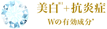 美白※１＋抗炎症Wの有効成分＊
