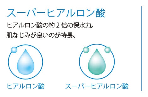 2004年 スーパーヒアルロン酸
