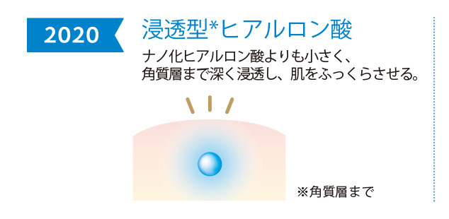 2020年 浸透型ヒアルロン酸