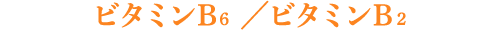 ビタミンB6 ／ビタミンB２