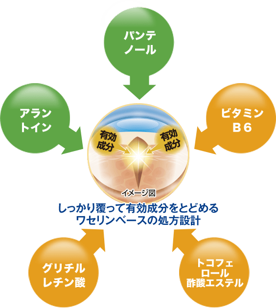 しっかり覆って有効成分をとどめるワセリンベースの処方設計