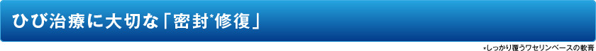 ひび治療に大切な「密封*修復」（*しっかり覆うワセリンベースの軟膏）