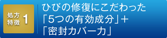 処方特徴1：ひびの修復にこだわった「5つの有効成分」+「密封カバー力」