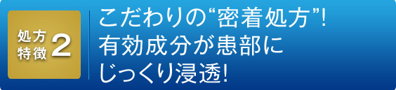 処方特徴2：こだわりの“密着処方”！ 有効成分が患部にじっくり浸透！