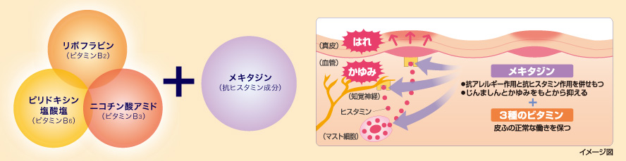 有効成分メキタジンと3種のビタミンを配合