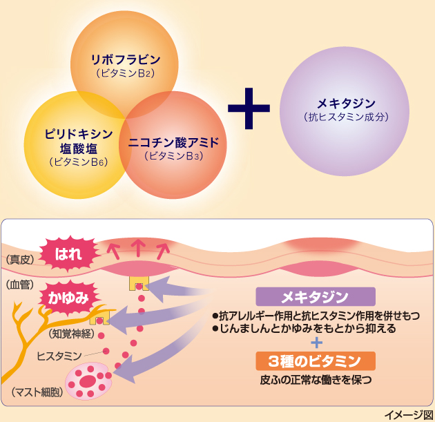 有効成分メキタジンと3種のビタミンを配合