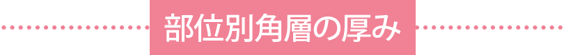 部位別角層の厚み