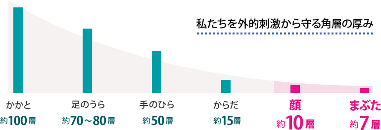 私たちを外的刺激から守る角層の厚み：かかと＝約100層、足の裏＝約70?80層、手のひら＝約50層、からだ＝約15層、顔＝約10層、まぶた＝約7層