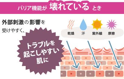 バリア機能が壊れているとき：外部刺激の影響を受けやすく、トラブルを起こしやすい肌に