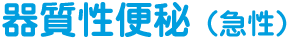 器質性便秘（急性）