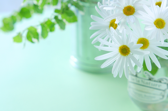 膣カンジダに似ている病気