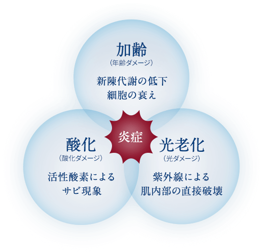 炎症　加齢（年齢ダメージ）新陳代謝の低下細胞の衰え 酸化（酸化ダメージ）活性酸素によるサビ現象 光老化（光ダメージ）紫外線による肌内部の直接破壊