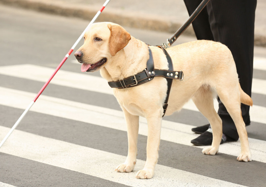 ひと口390（サンキュー）からのチャリティ募金