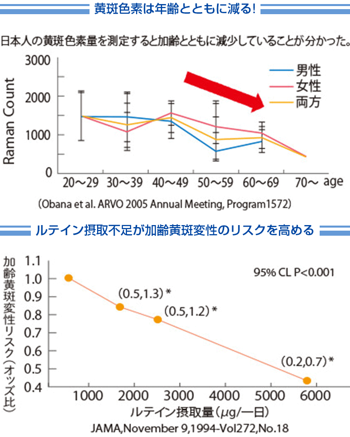 黄斑色素は年齢とともに減る ルテイン摂取不足が加齢黄斑変性のリスクを高める