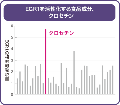 EGR1を活性化する食品成分、クロセチン