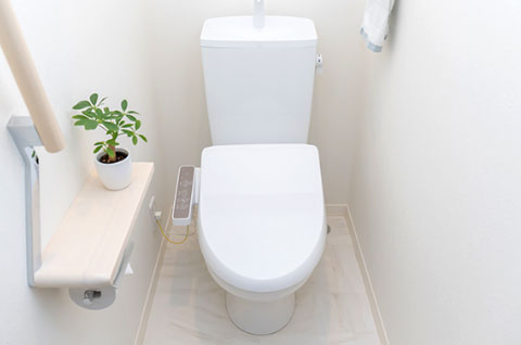 理想は毎日スッキリと排便できること