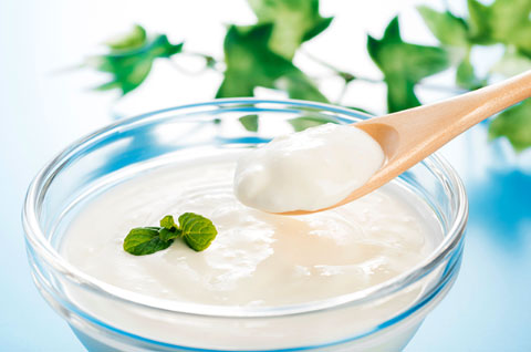 ビフィズス菌・乳酸菌・オリゴ糖などで腸内環境に働きかける