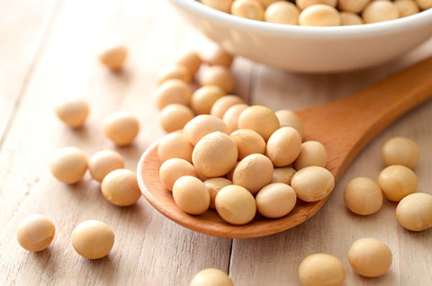 オリゴ糖を摂取して腸内細菌をサポート！