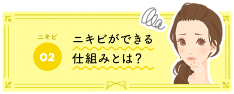 ニキビができる仕組みとは？