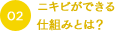 ニキビができる仕組みとは？