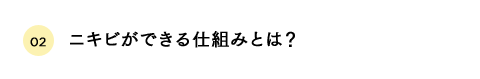 ニキビができる仕組みとは？