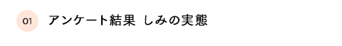 アンケートの結果 しみの実態