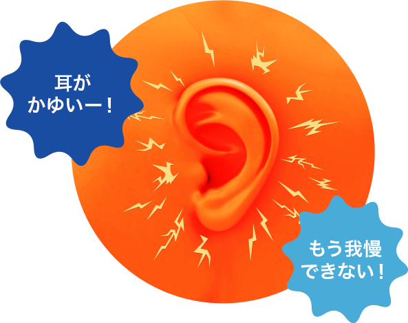 耳がかゆいー！もう我慢できない