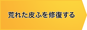 荒れた皮ふを修復する