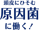 頭皮にひそむ原因菌に働く！
